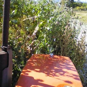 Meet your Posher, Angela